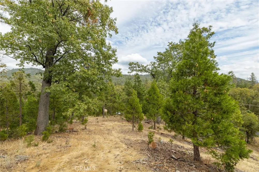 26 Timberview Road North Fork, CA 93643