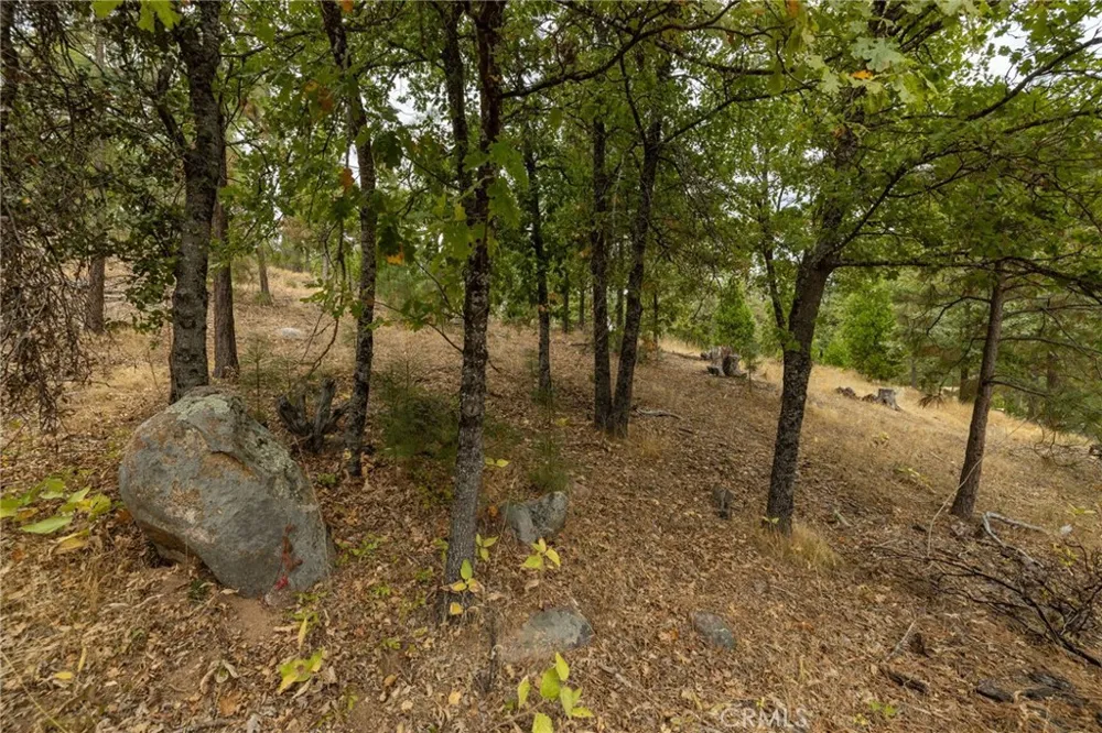 26 Timberview Road North Fork, CA 93643