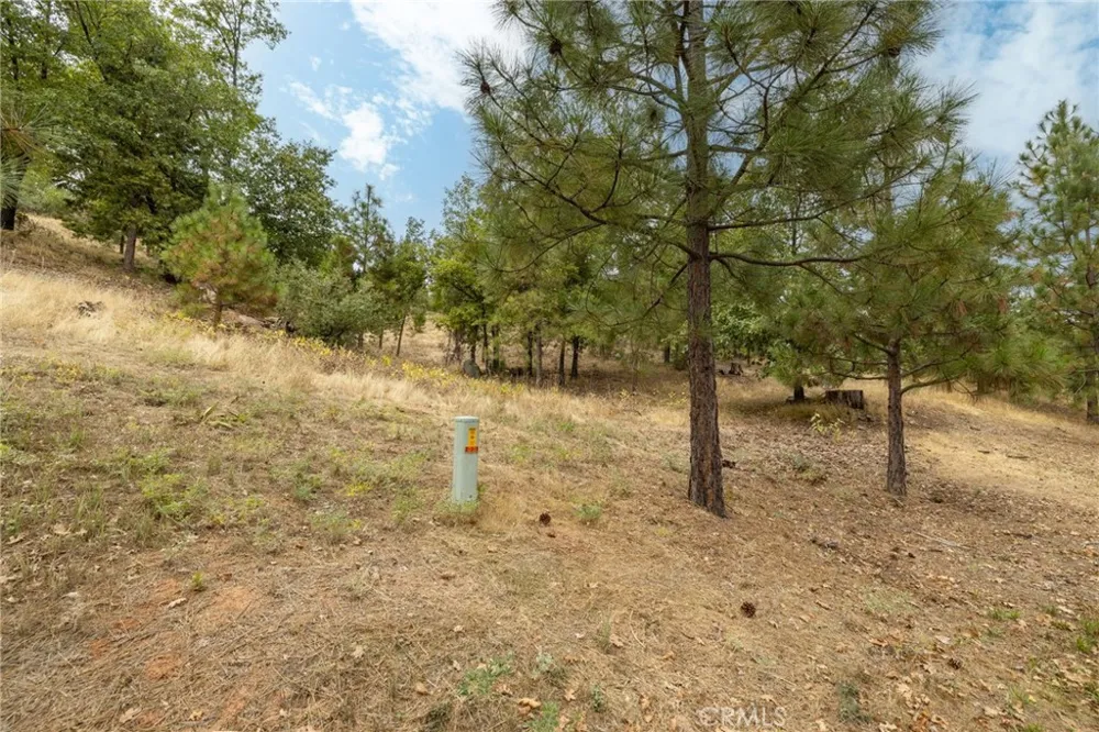 26 Timberview Road North Fork, CA 93643