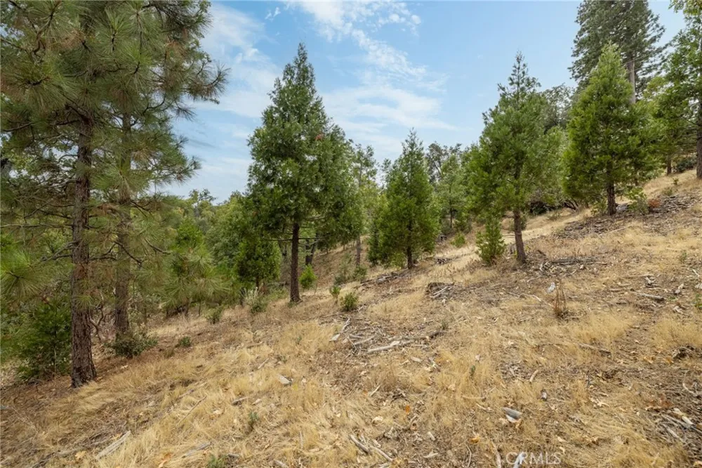 26 Timberview Road North Fork, CA 93643