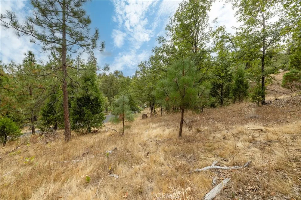 26 Timberview Road North Fork, CA 93643