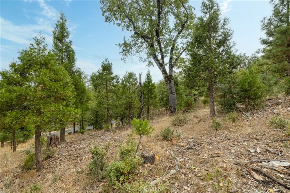 26 Timberview Road North Fork, CA 93643