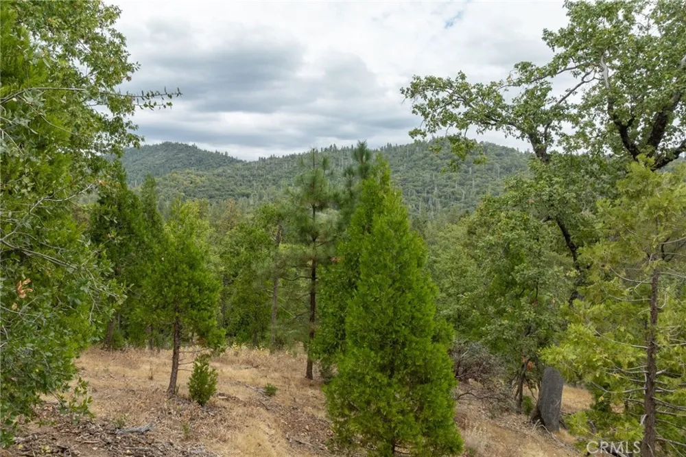 26 Timberview Road North Fork, CA 93643