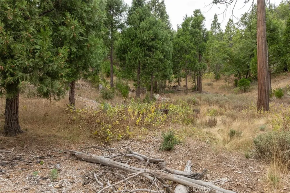 26 Timberview Road North Fork, CA 93643
