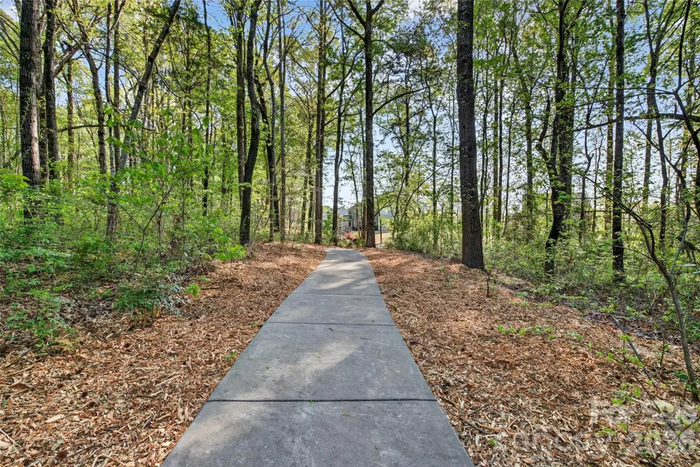 15109 Ockeechobee Court Mint Hill, NC 28227
