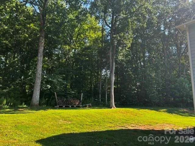 15109 Ockeechobee Court Mint Hill, NC 28227