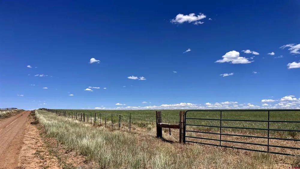 Road Z Lewis, CO 81327
