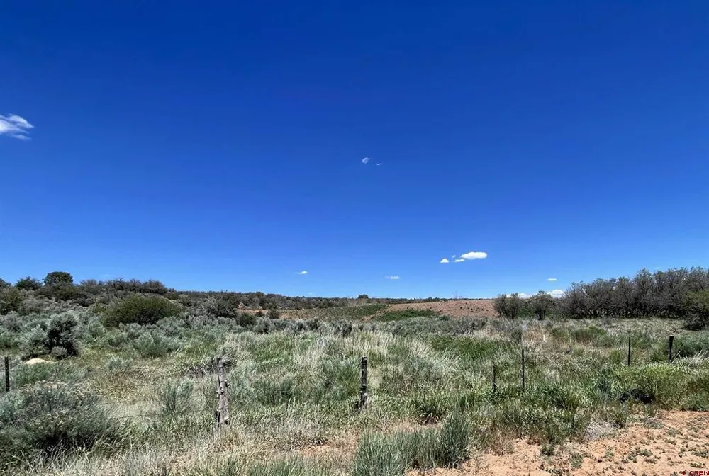 Road Z Lewis, CO 81327
