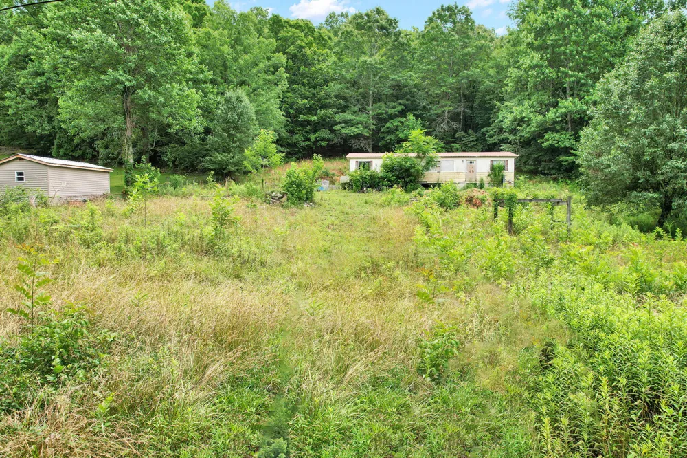 1241 Upper Cove Road Dayton, TN 37321