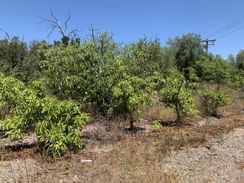 9200 Stockton Road Moorpark, CA 93021