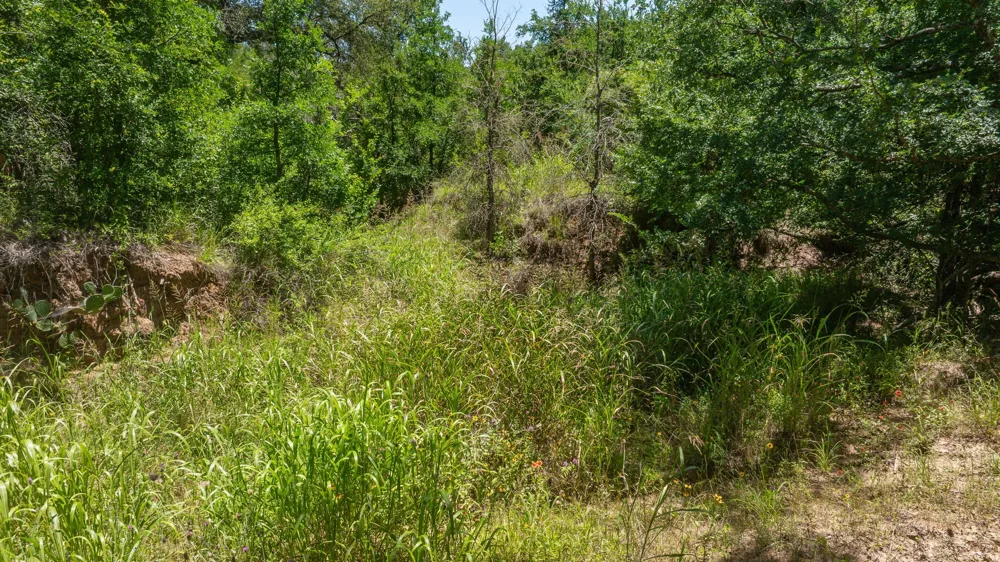 Tr 1 CR 164 Stephenville, TX 76401