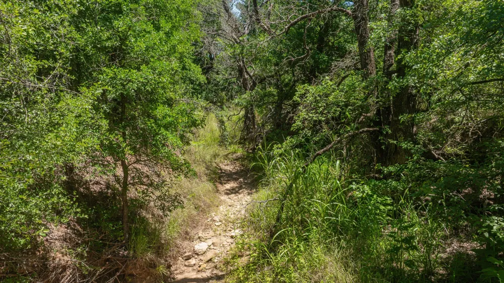Tr 1 CR 164 Stephenville, TX 76401