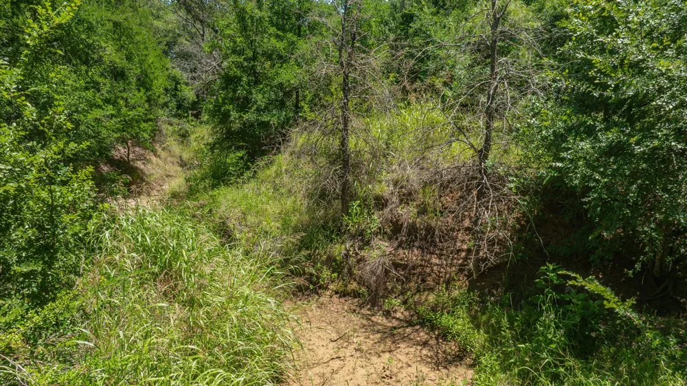 Tr 1 CR 164 Stephenville, TX 76401