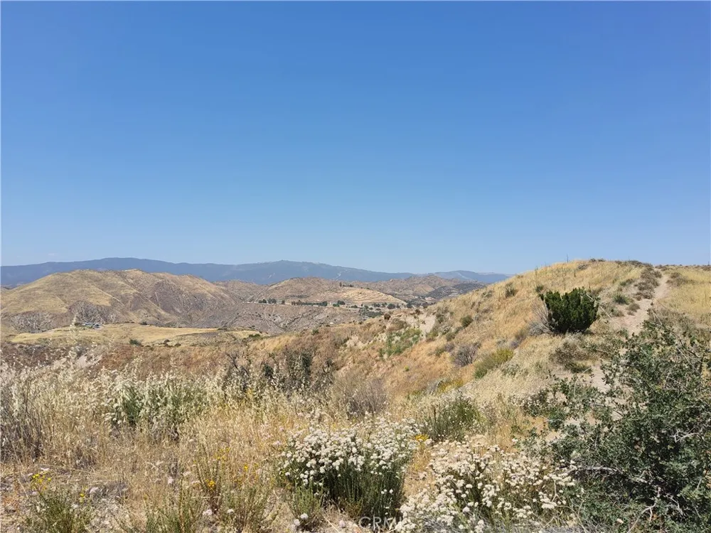 9 Agua Dulce, CA 91351