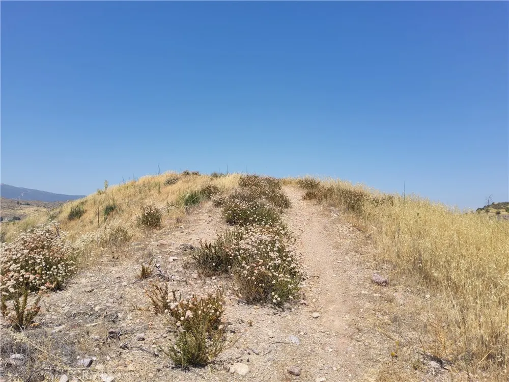 9 Agua Dulce, CA 91351