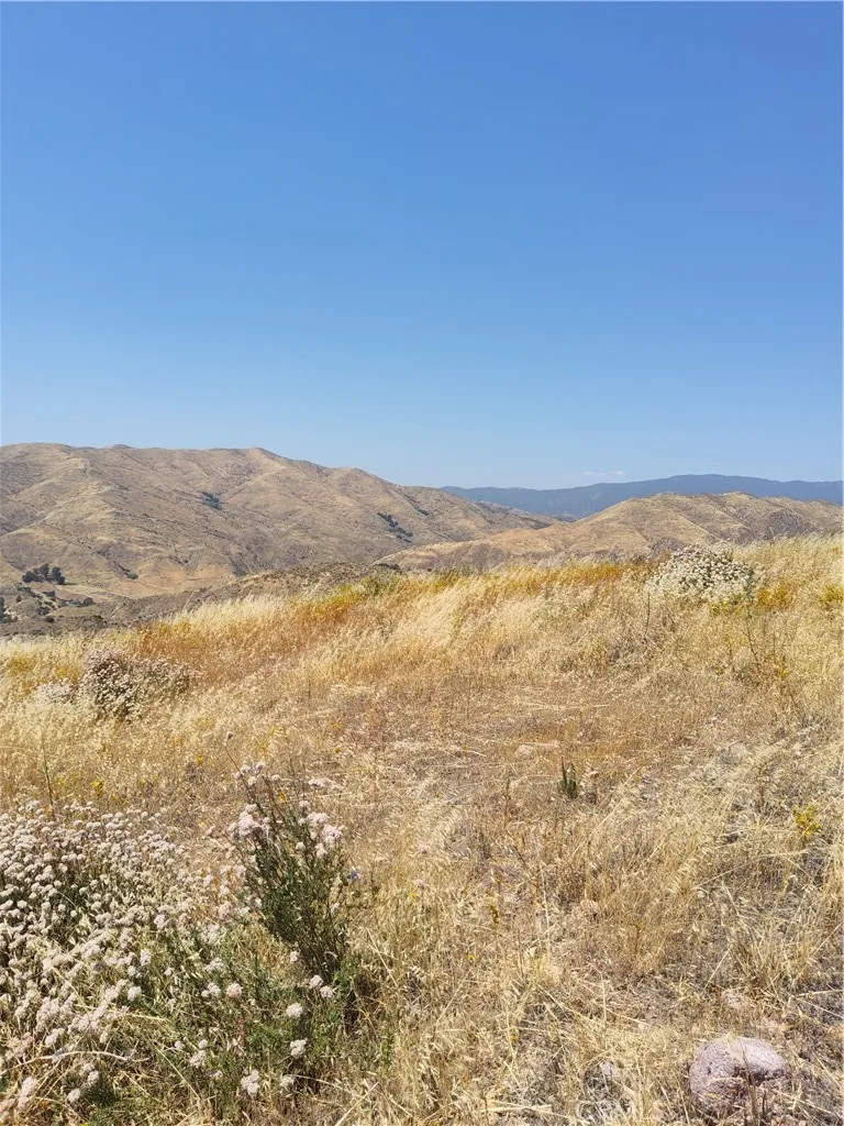 9 Agua Dulce, CA 91351