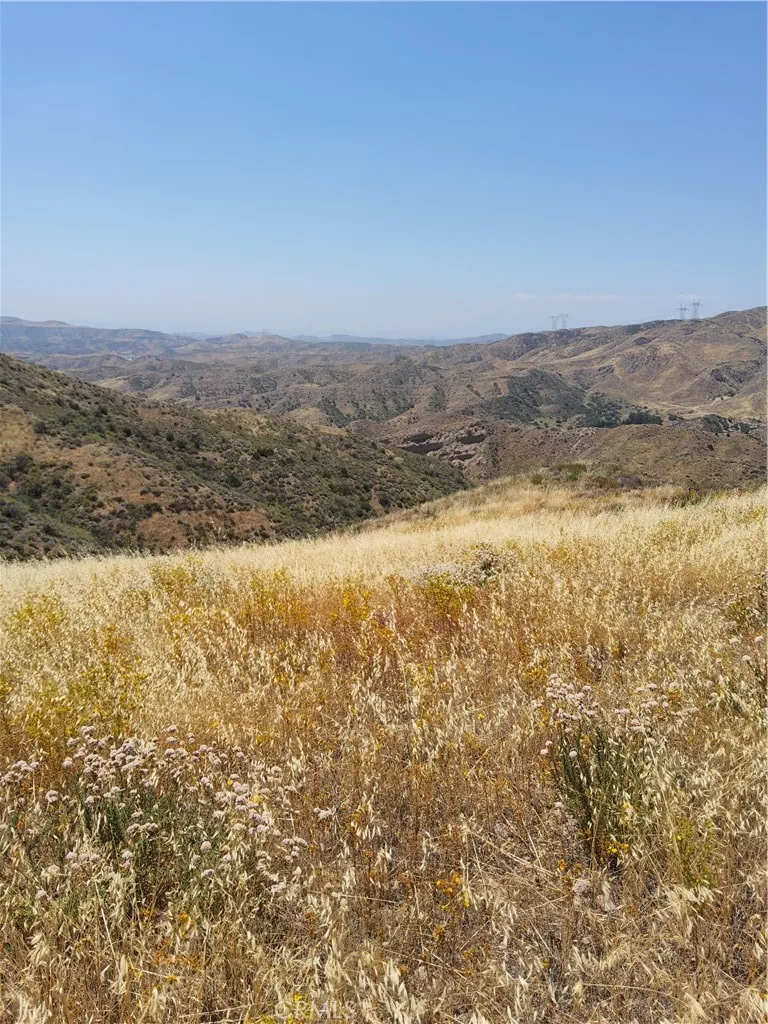 9 Agua Dulce, CA 91351