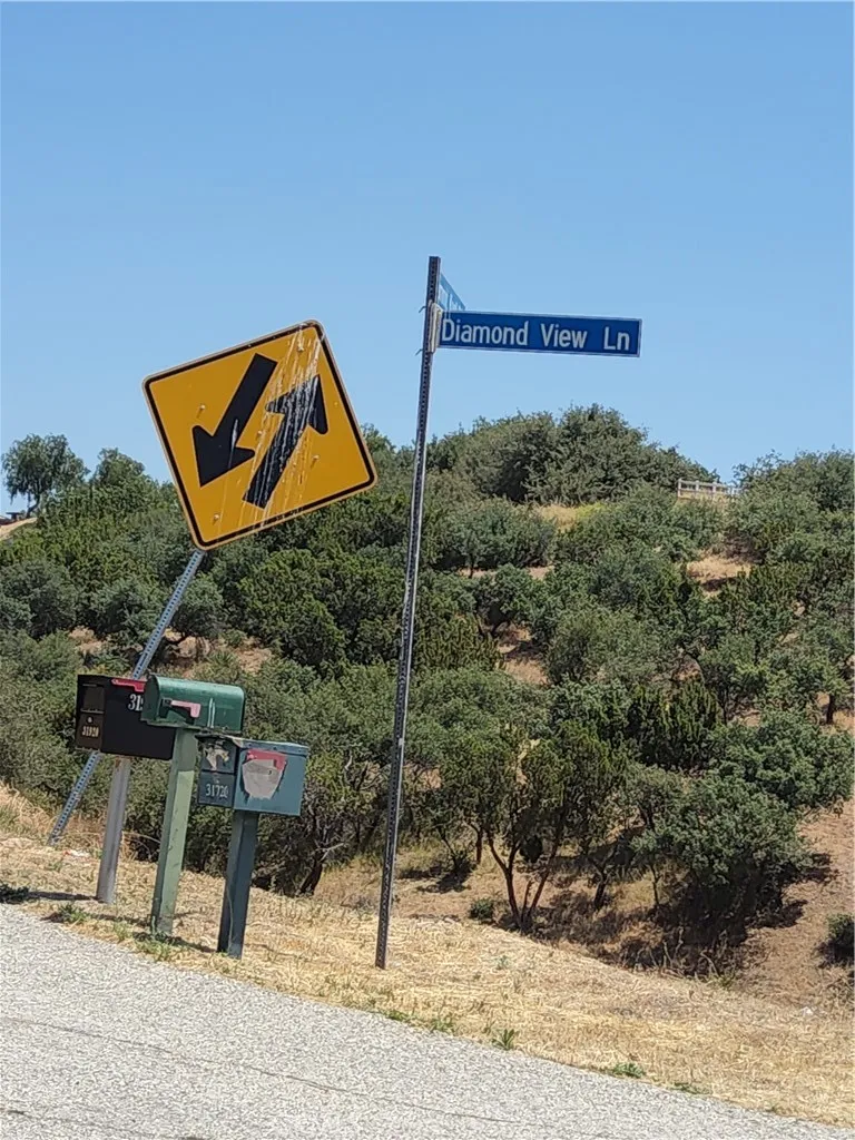 9 Agua Dulce, CA 91351