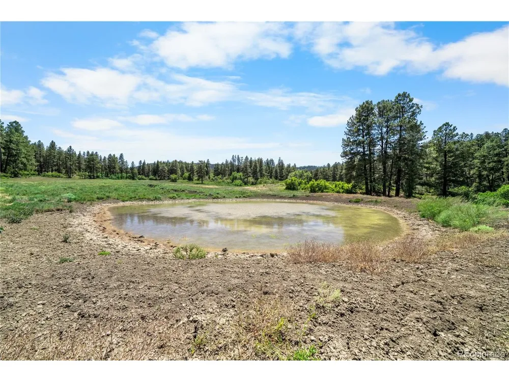 73 Parelli Institute Drive Pagosa Springs, CO 81147