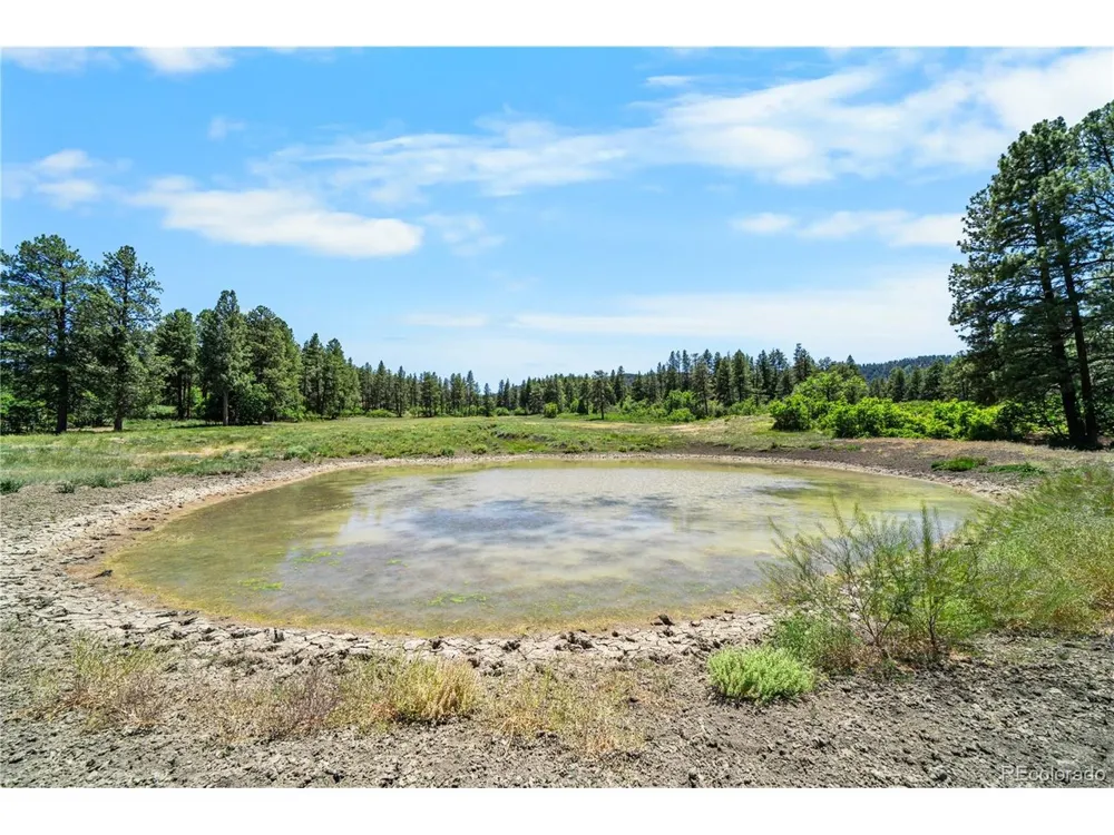 73 Parelli Institute Drive Pagosa Springs, CO 81147