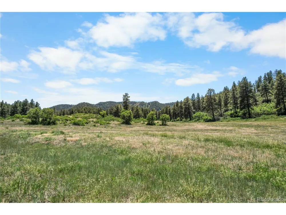 73 Parelli Institute Drive Pagosa Springs, CO 81147