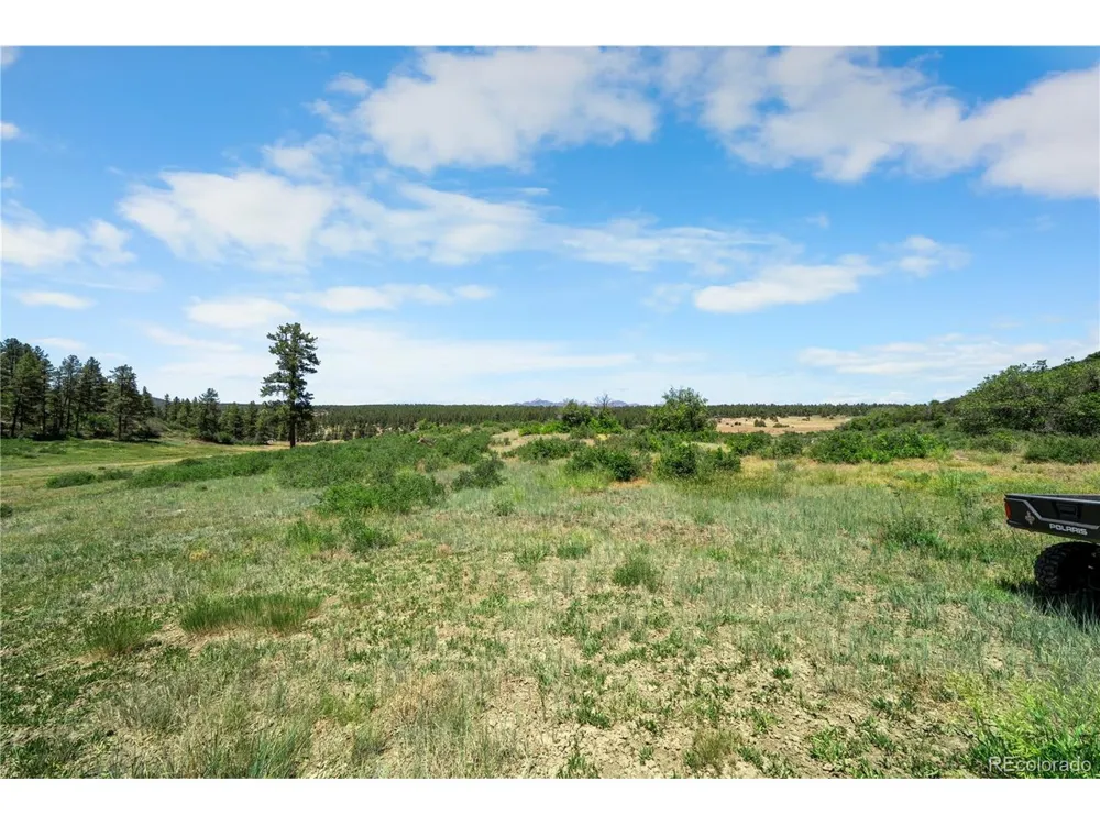 73 Parelli Institute Drive Pagosa Springs, CO 81147