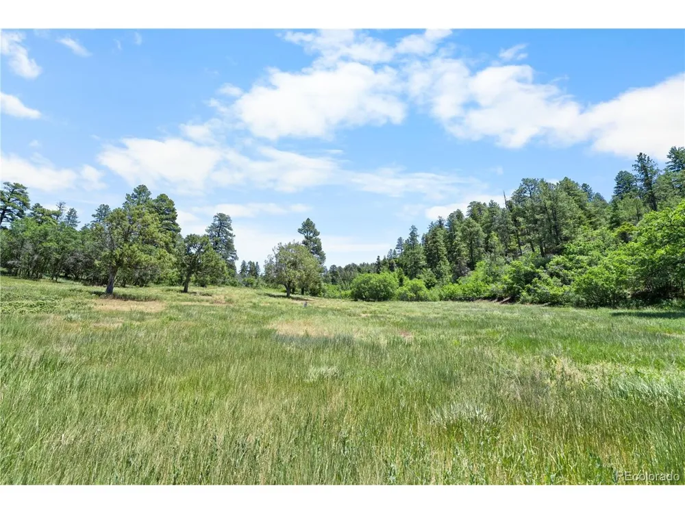 73 Parelli Institute Drive Pagosa Springs, CO 81147