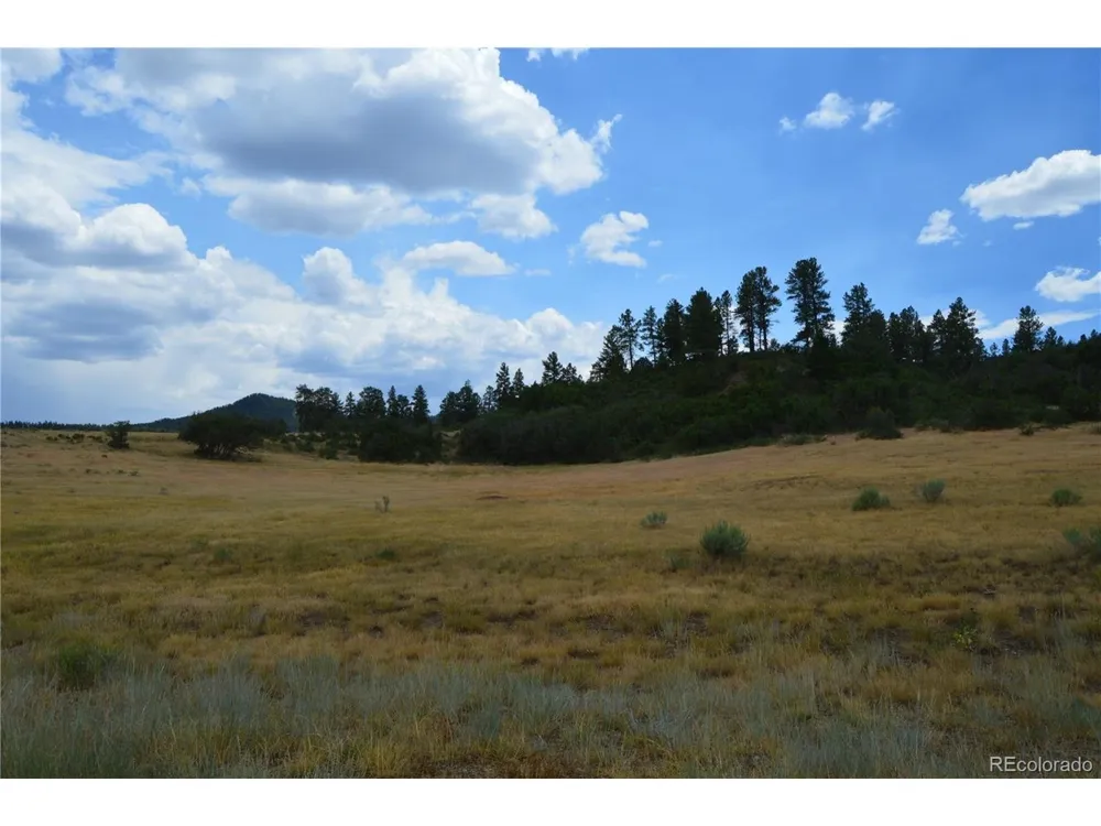 73 Parelli Institute Drive Pagosa Springs, CO 81147