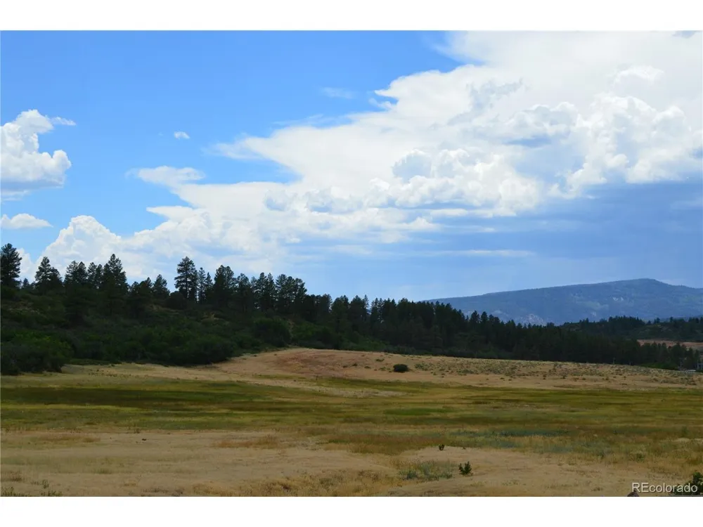 73 Parelli Institute Drive Pagosa Springs, CO 81147