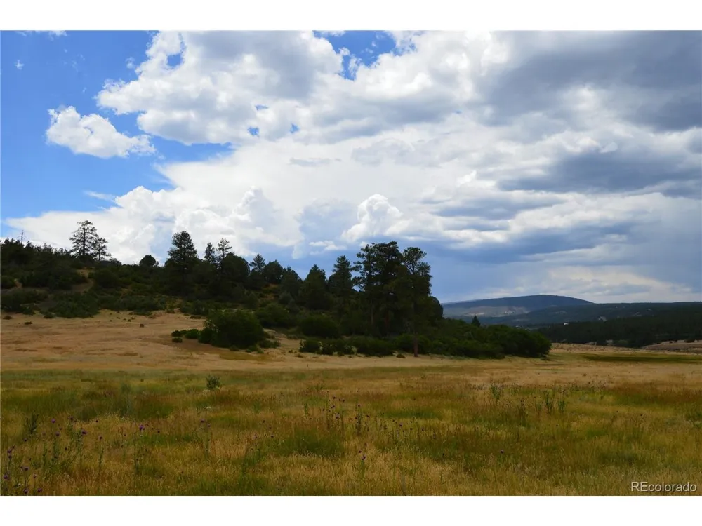 73 Parelli Institute Drive Pagosa Springs, CO 81147
