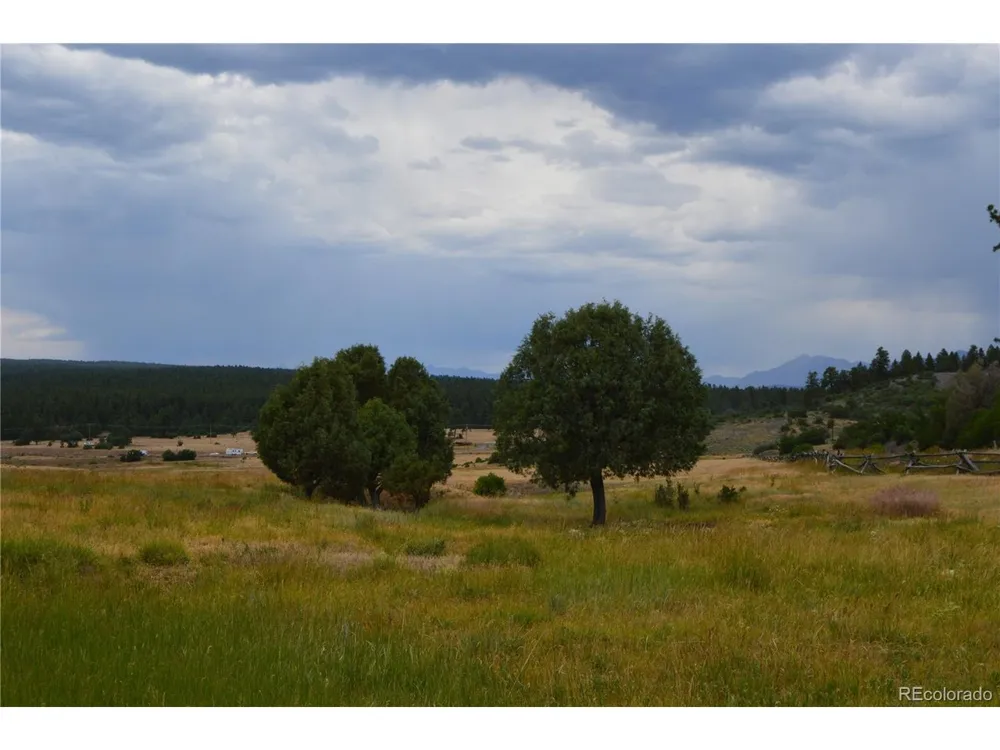 73 Parelli Institute Drive Pagosa Springs, CO 81147