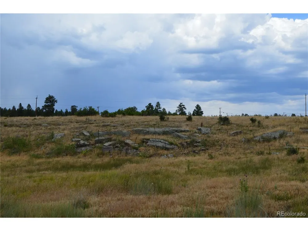 73 Parelli Institute Drive Pagosa Springs, CO 81147