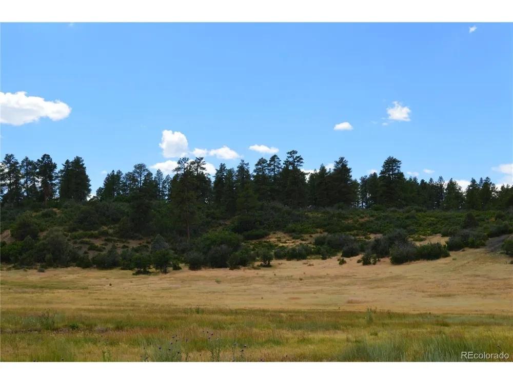 73 Parelli Institute Drive Pagosa Springs, CO 81147
