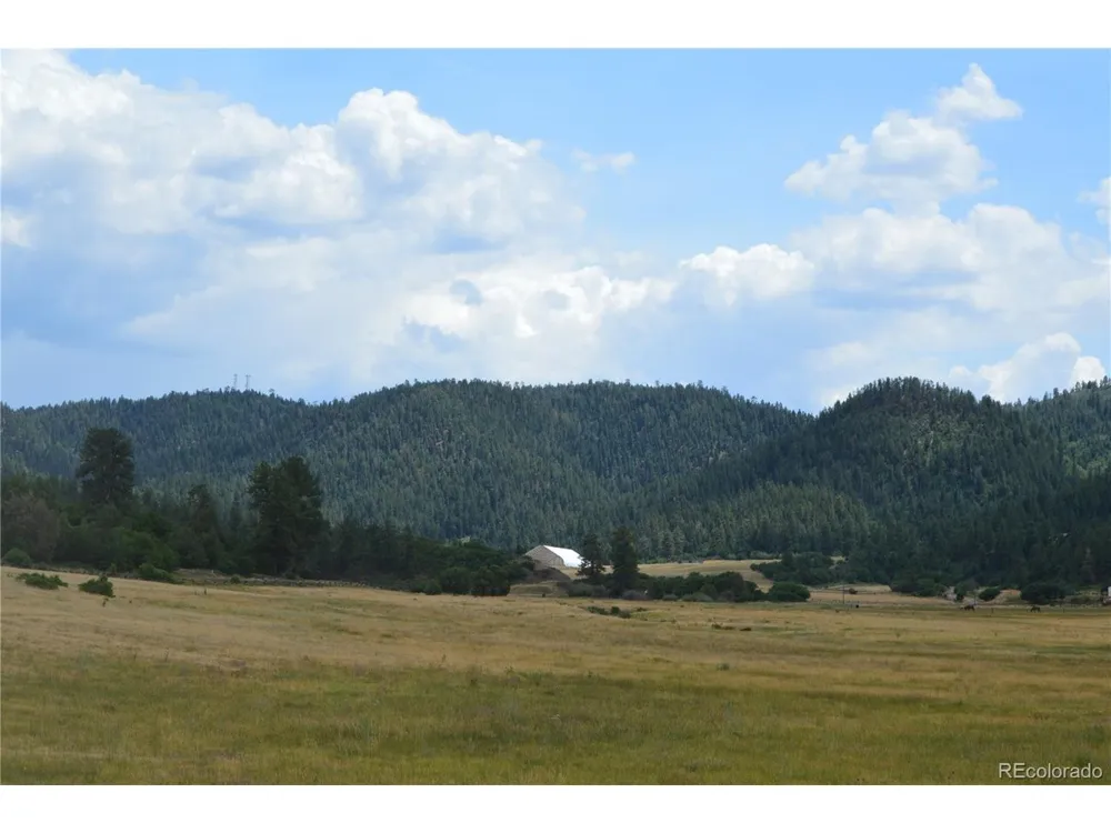 73 Parelli Institute Drive Pagosa Springs, CO 81147