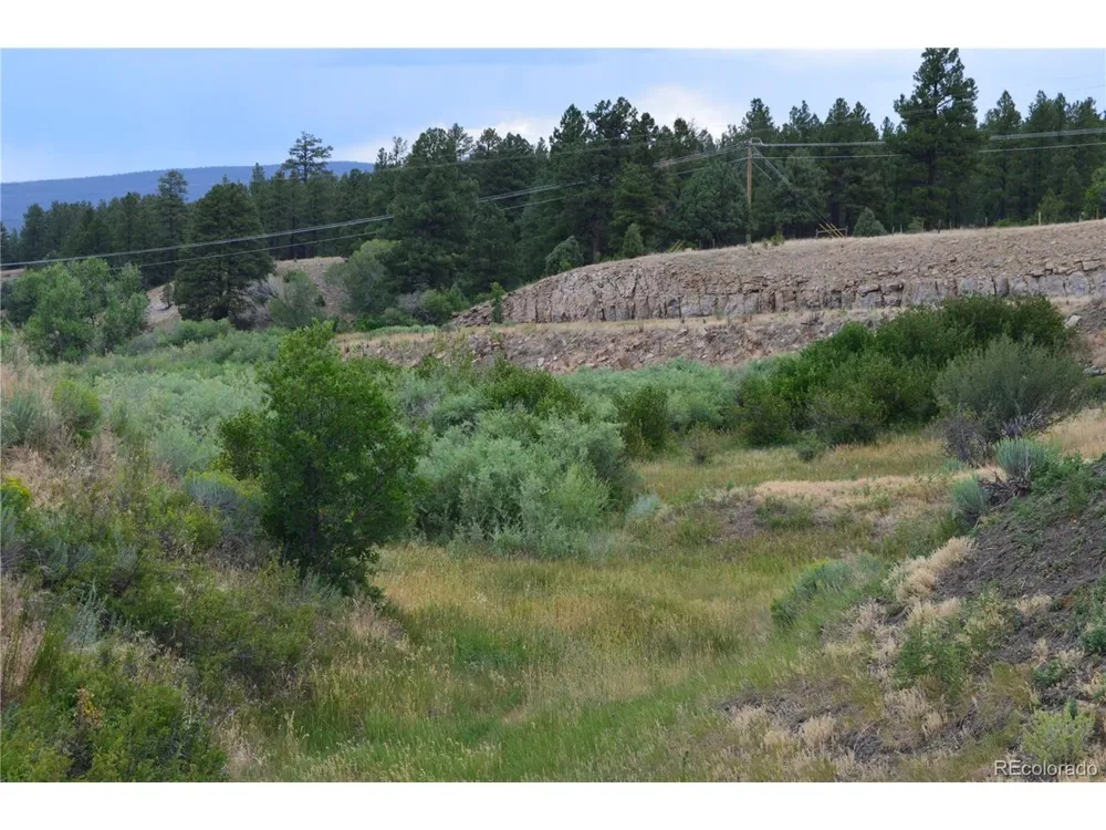 73 Parelli Institute Drive Pagosa Springs, CO 81147