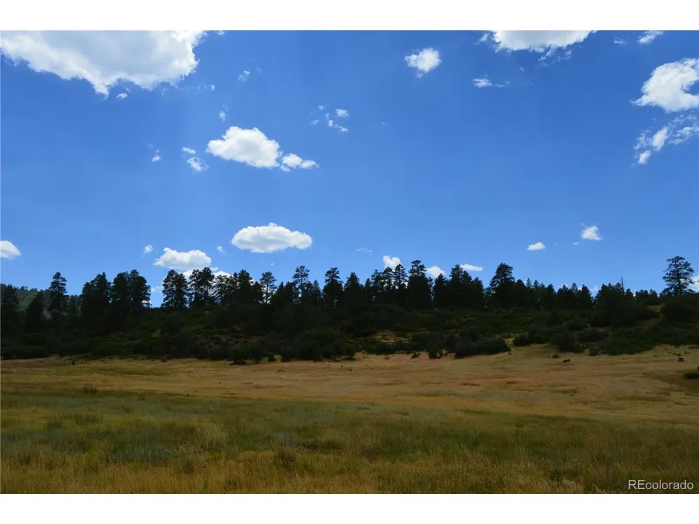 73 Parelli Institute Drive Pagosa Springs, CO 81147
