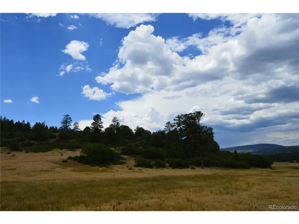 73 Parelli Institute Drive Pagosa Springs, CO 81147