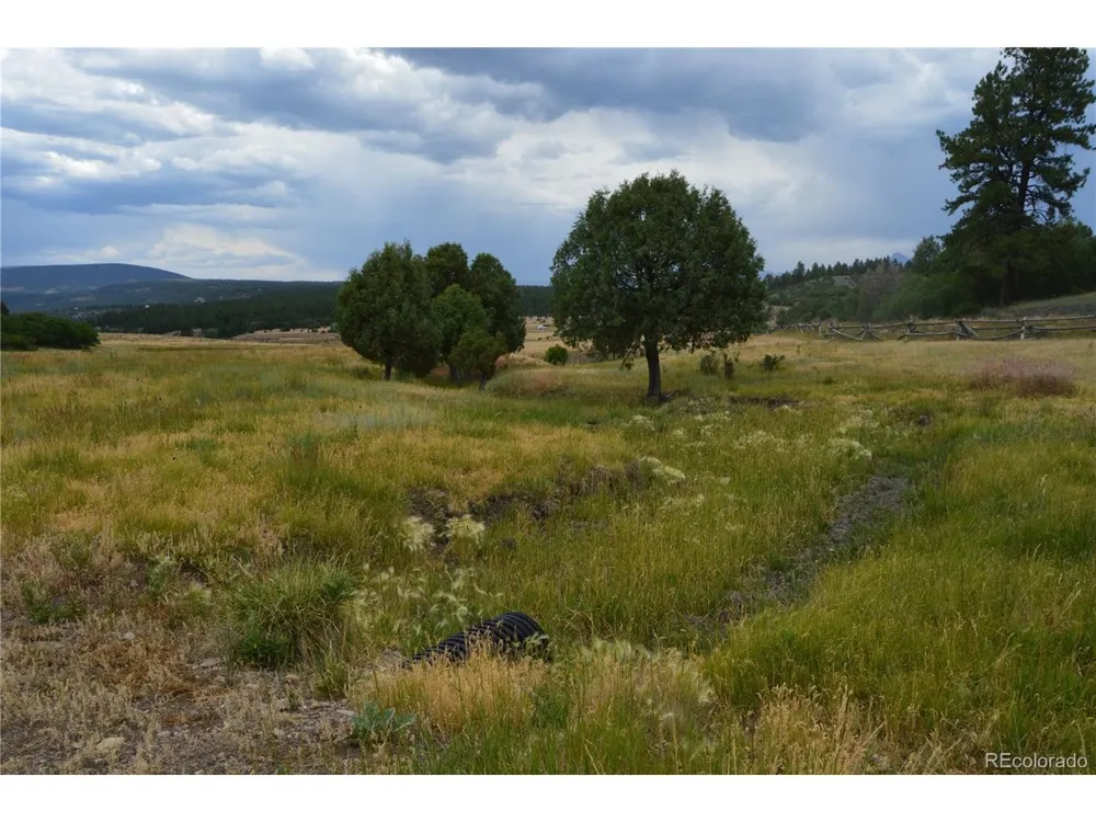 73 Parelli Institute Drive Pagosa Springs, CO 81147
