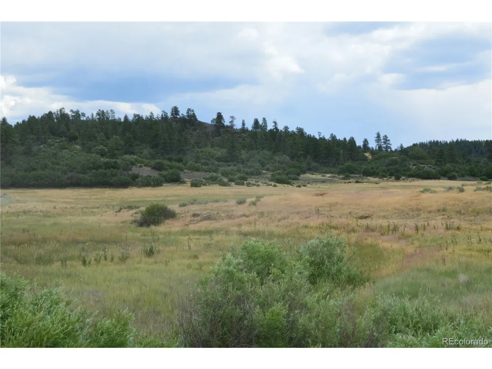 73 Parelli Institute Drive Pagosa Springs, CO 81147