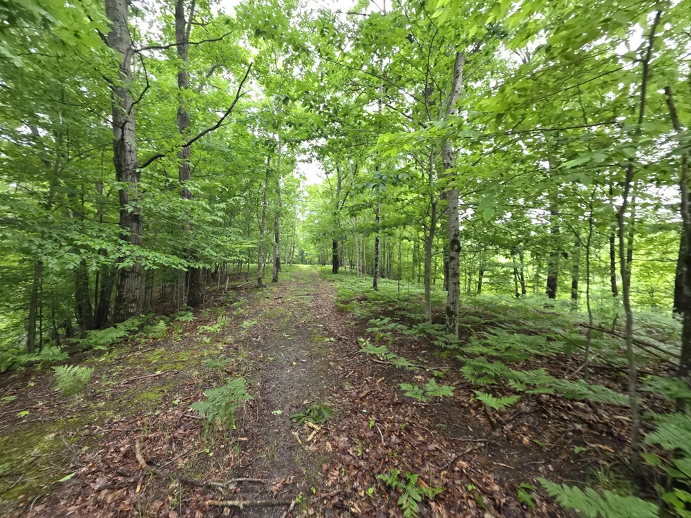 Madison Road Hesperia, MI 49421