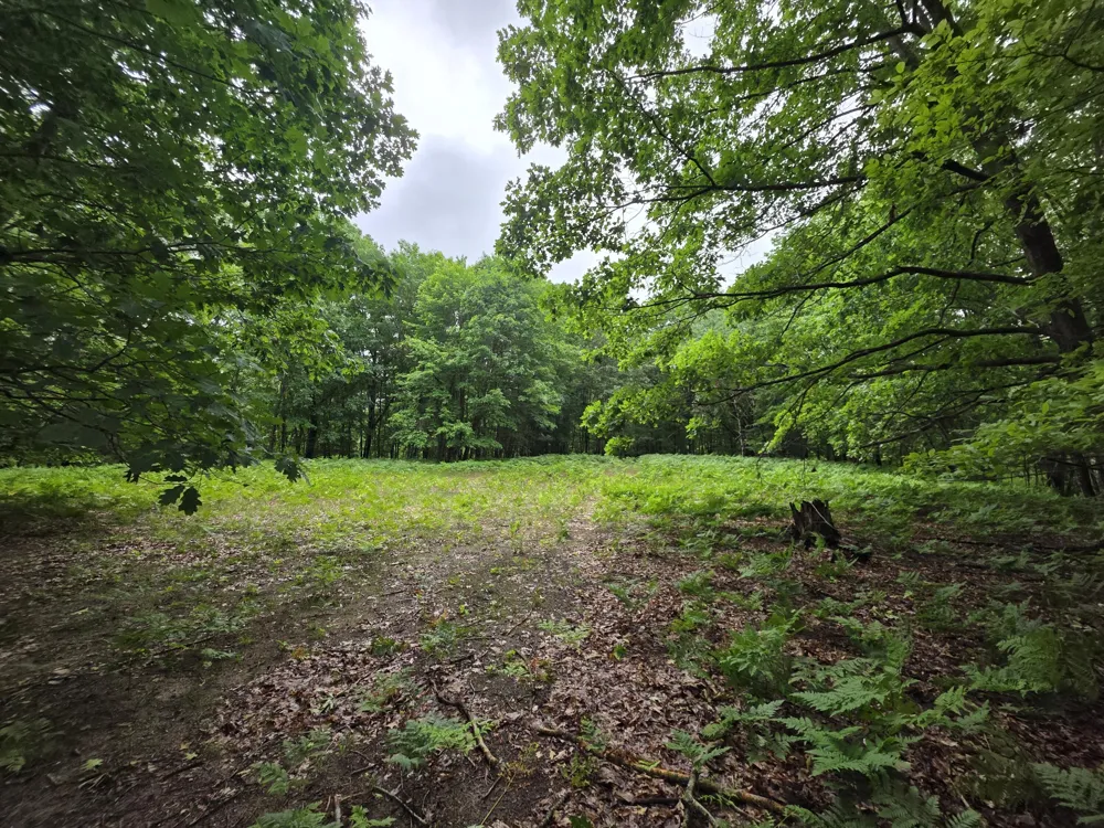 Madison Road Hesperia, MI 49421
