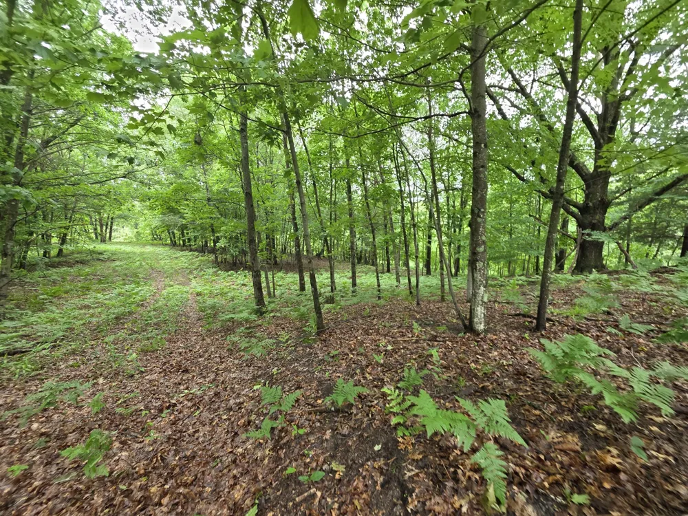 Madison Road Hesperia, MI 49421