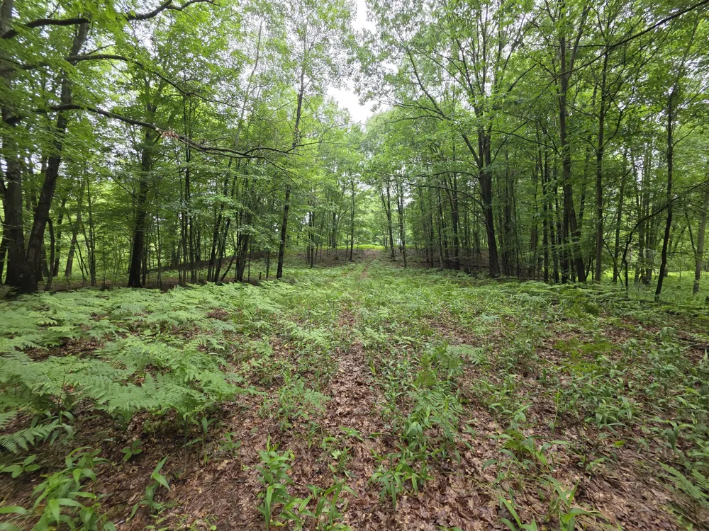 Madison Road Hesperia, MI 49421