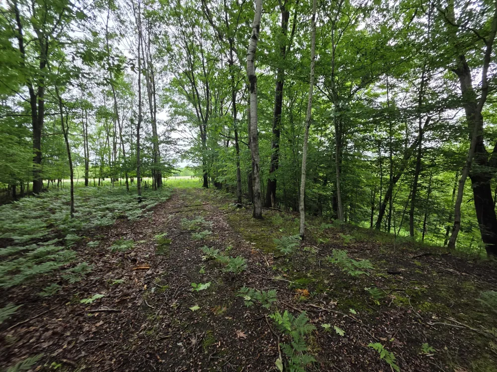 Madison Road Hesperia, MI 49421