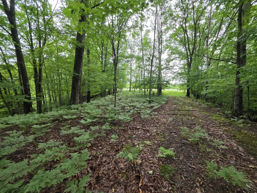 Madison Road Hesperia, MI 49421