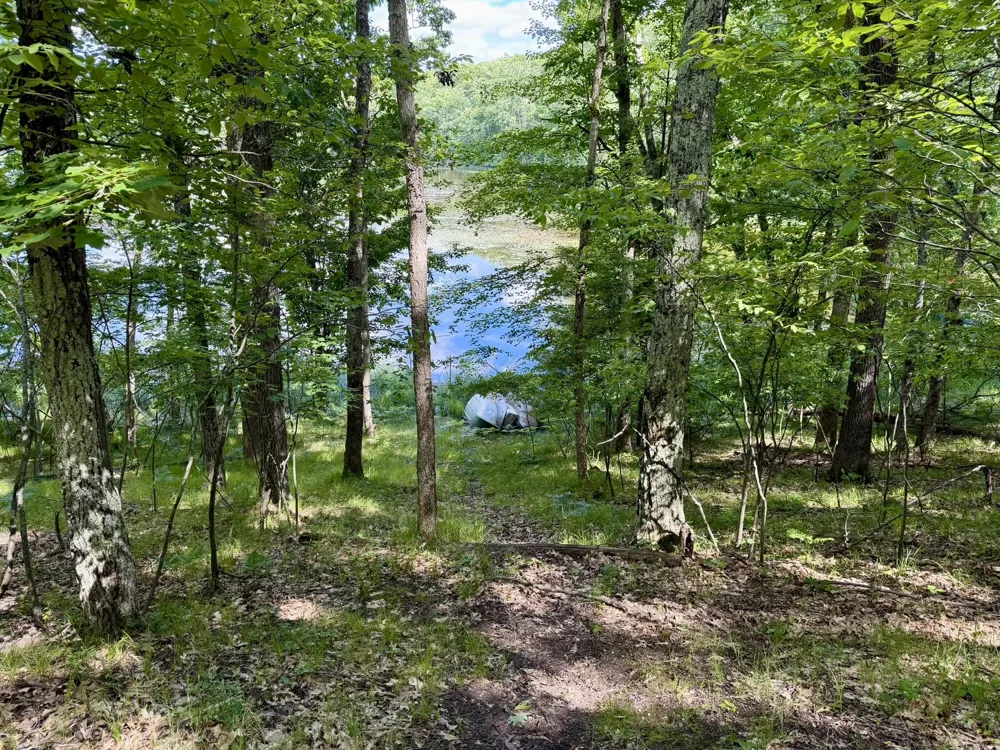 6922 W Twin Lake Drive Irons, MI 49644