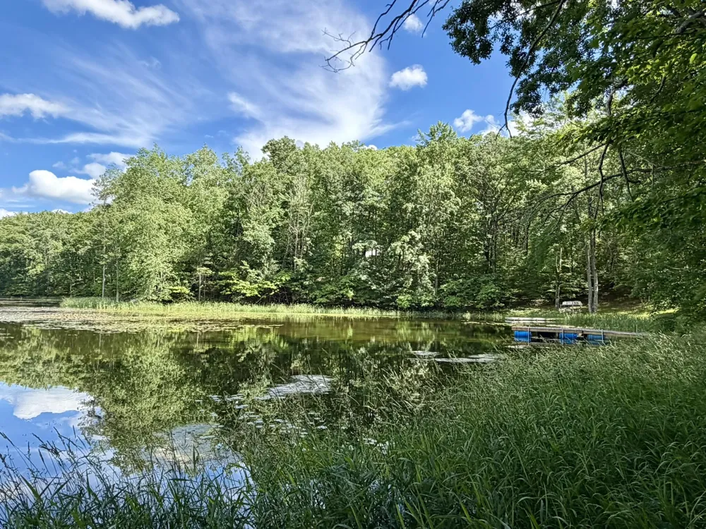 6922 W Twin Lake Drive Irons, MI 49644