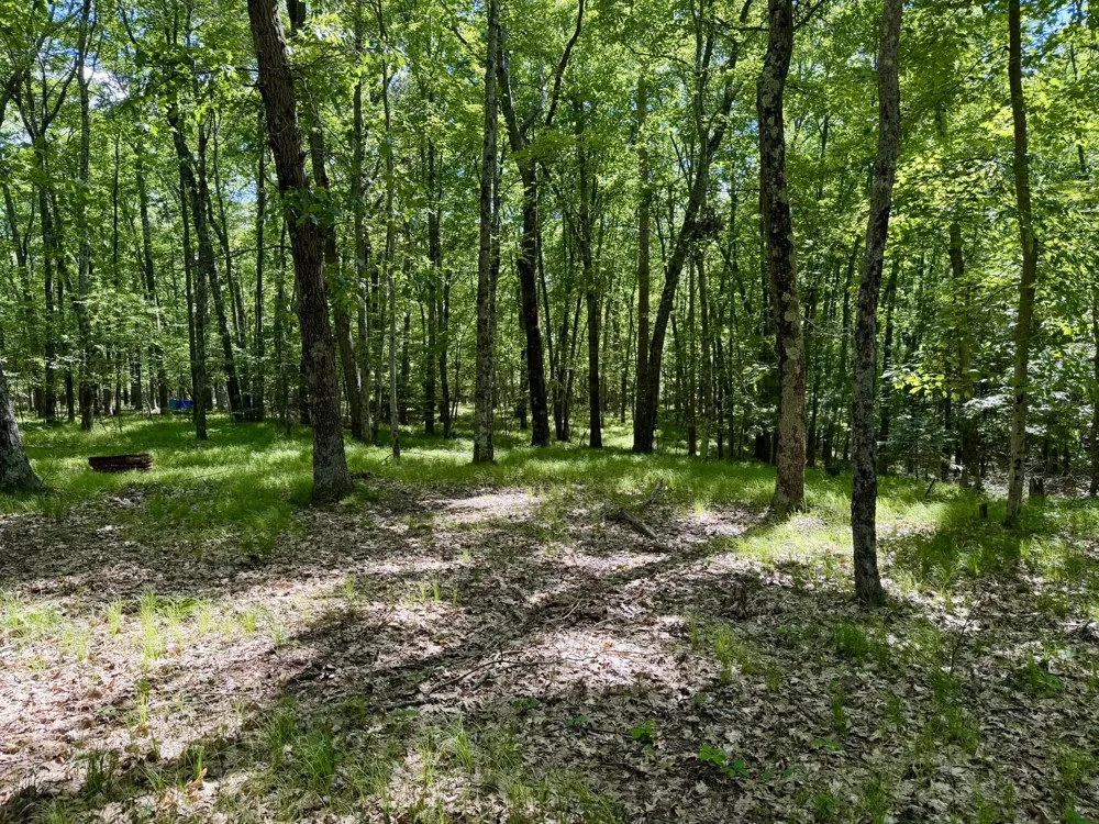 6922 W Twin Lake Drive Irons, MI 49644