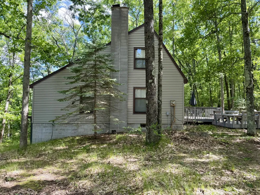 6922 W Twin Lake Drive Irons, MI 49644