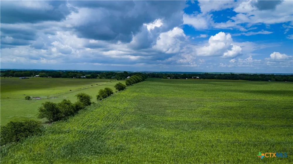 Allison Road Staples, TX 78155